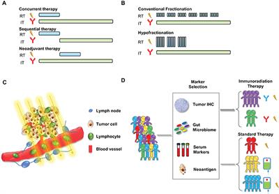 Combining Immunotherapy and Radiotherapy for Cancer Treatment: Current Challenges and Future Directions